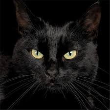 Тигран Вашгорян